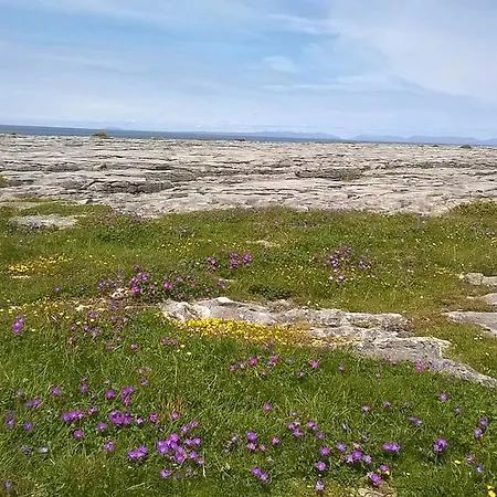 Hotel Burren Castle